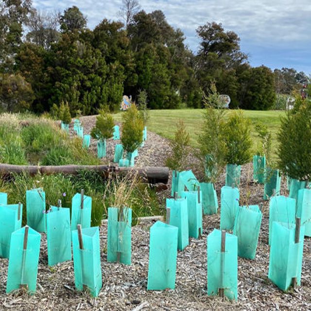 Polypropylene Material Tree Protectors