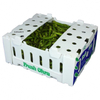 Polypropylene Coroplast Okra Packing Box