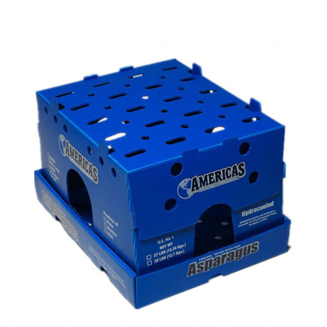 fresh asparagus boxes