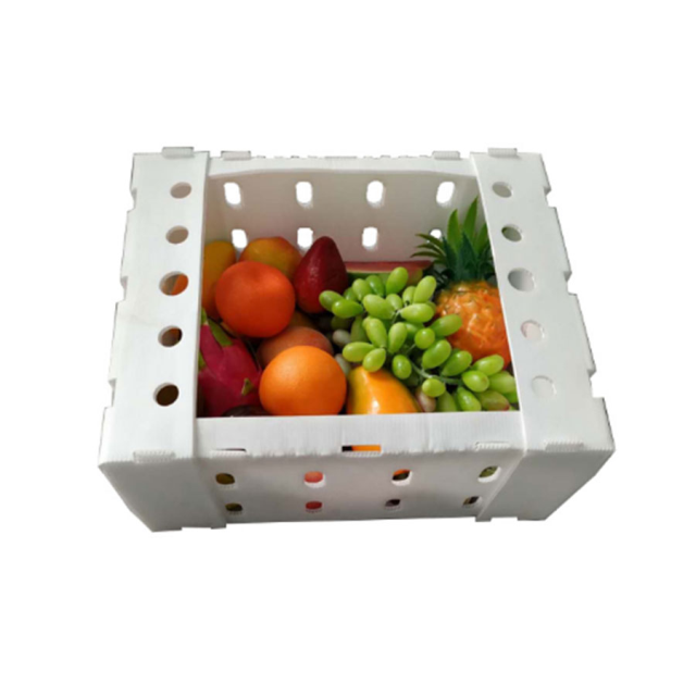 Polypropylene Corrugated Plastic Fruit Packing Box, Search Fruit